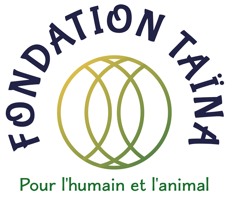 logo-fondation Taina