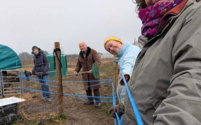 Planter un piquet pour la (presque) postérité, printemps 2026